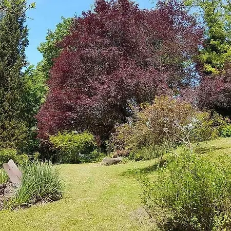 Antico Casale Umbro Casa Buganza * Monteleone d'Orvieto